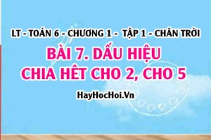 Dấu hiệu chia hết cho 2, cho 5? Toán 6 chân trời Tập 1 chương 1 Bài 7